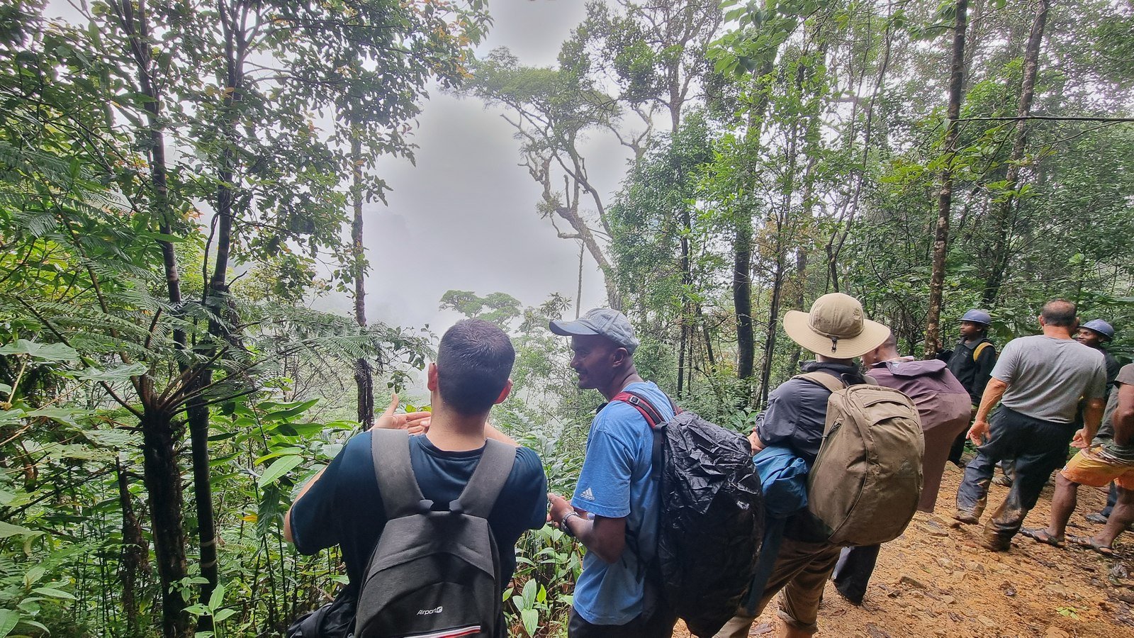 Field team hiking the trail through the rainforest