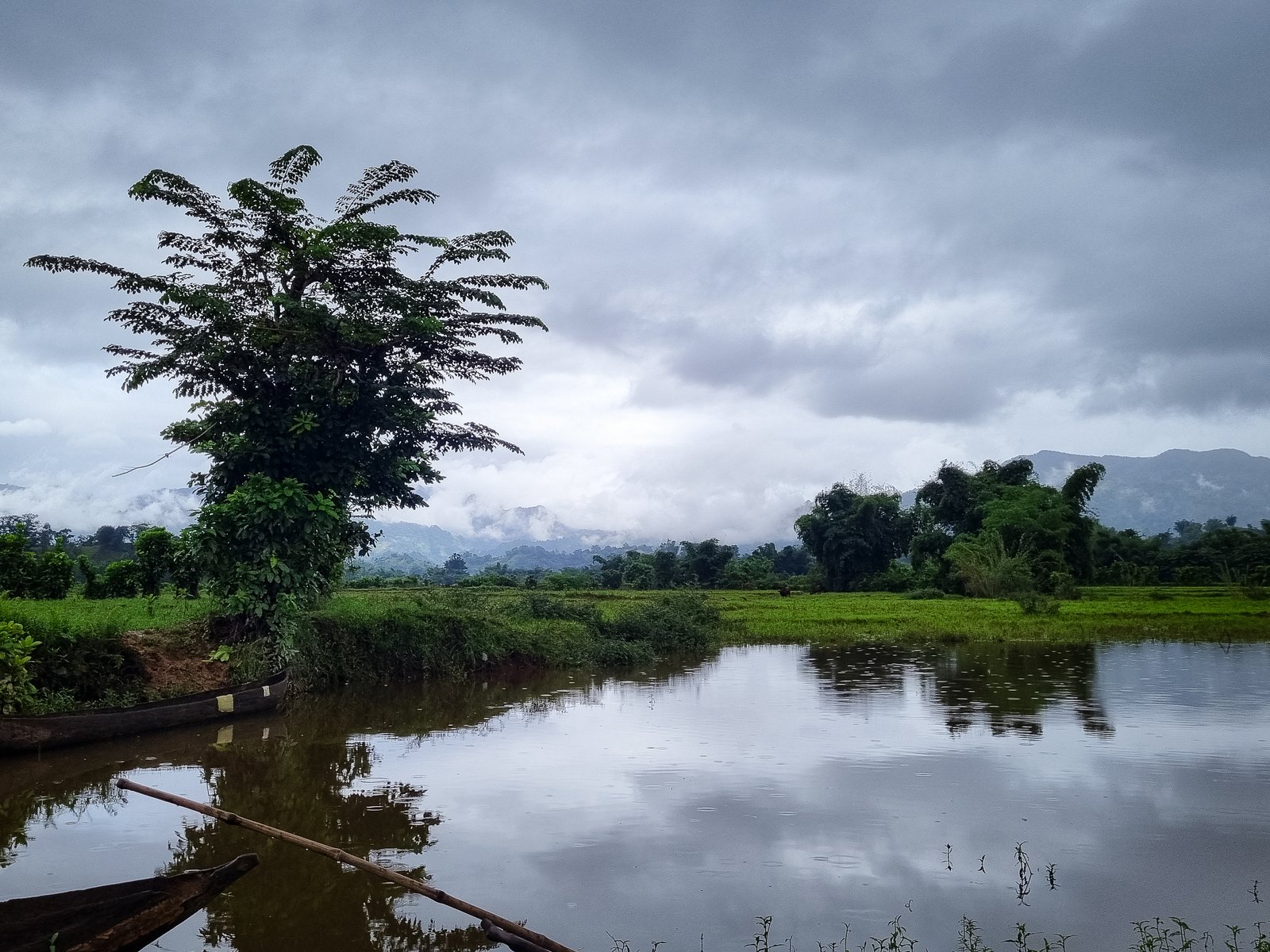 canoes near the river with pal trees nearby 